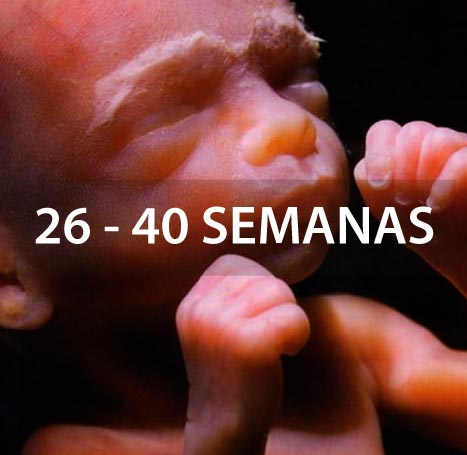 ecografia-de-crecimiento-5d-doppler-dr-enrique-gil-guevara