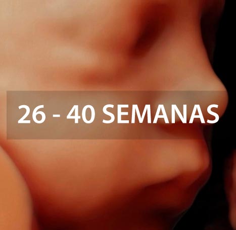 ecografia-de-crecimiento-5d-doppler
