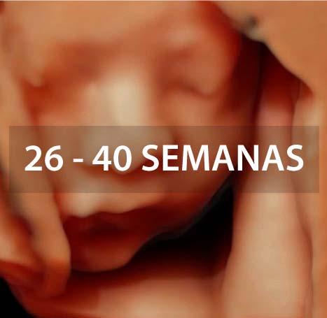 ecografias-doppler-gemelar-5d