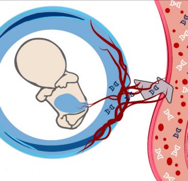 panorama-nipt-instituto-peruano-de-medicina-y-cirugia-fetal-lima-peru panorama-nipt-instituto-peruano-de-medicina-y-cirugia-fetal-lima-peru